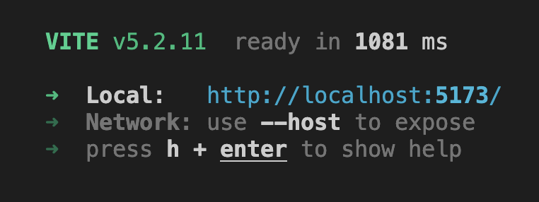Vite output after running npm run dev